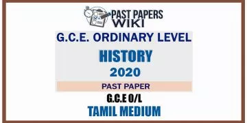 Ordinary Level Examination History Official Past Paper 2020