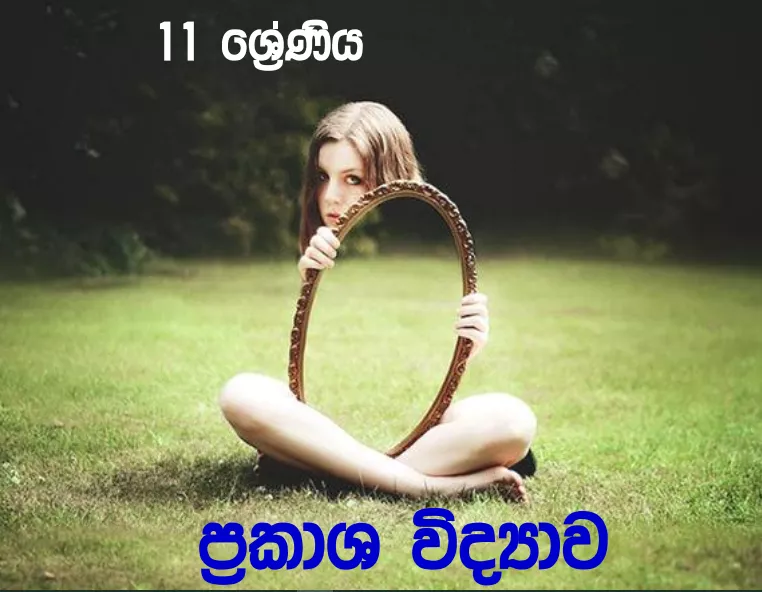 Prakasha Vidyawa - Grade 11 Science Lesson 05 | Short Note
