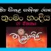 Sinhala Sahithya Rasasvadaya | Thunman Handiya - Grade10 Vichara