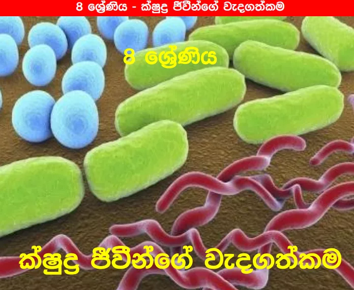 Kshudra Jivinge Wedagathkama - Grade 08 Science Lesson 01 | Short Note