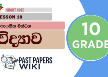 Rasayanika Bandana - Grade 10 Science Lesson 10 | Short Note