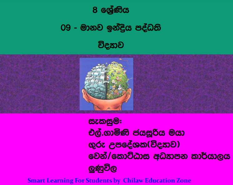 Manawa Indriya Paddathi - Grade 08 Science Lesson 09 | Short Note