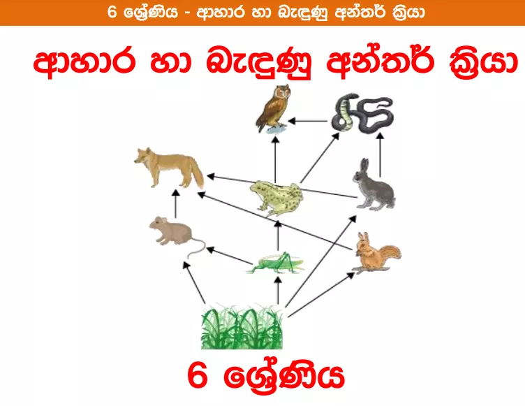 Ahara Ha Bendunu Anthar Kriya - Grade 06 Science Lesson 10 | Short Note