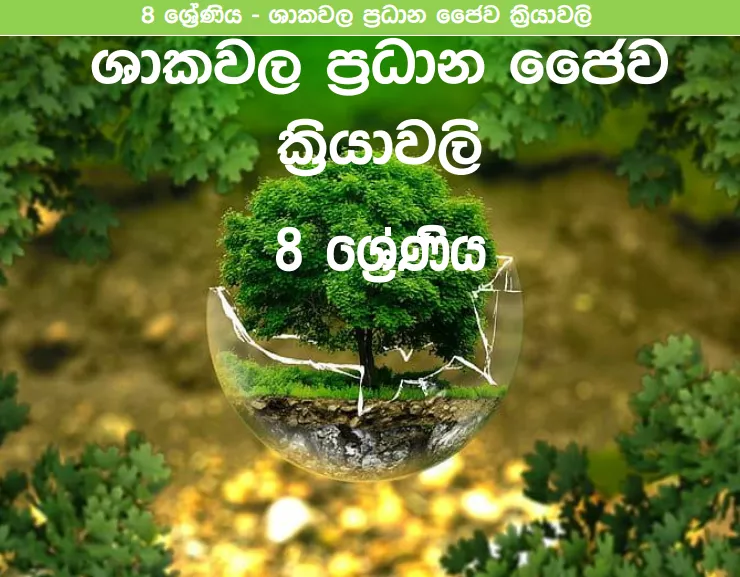 Shakawala pradana Jaiwa Kriyawali - Grade 08 Science Lesson 11 | Short Note