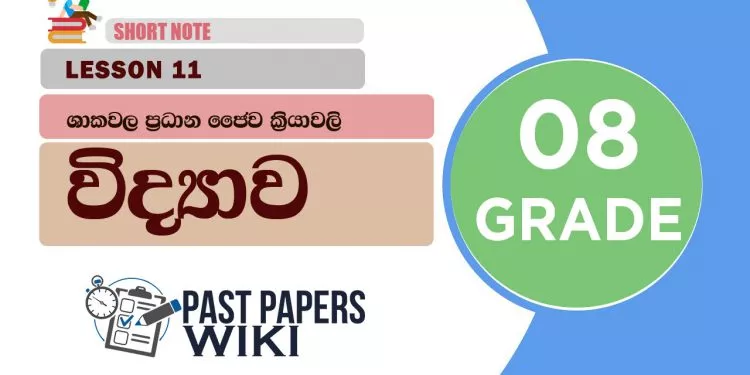 Shakawala pradana Jaiwa Kriyawali - Grade 08 Science Lesson 11 | Short Note