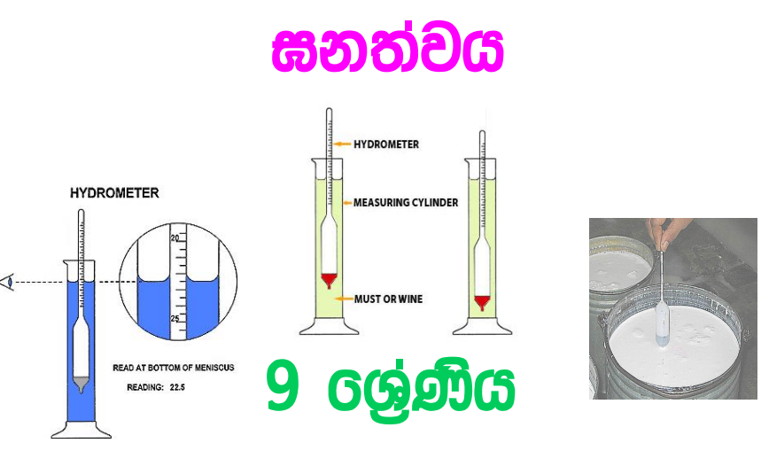 Ganathwaya - Grade 09 Science Lesson 11 | Short Note