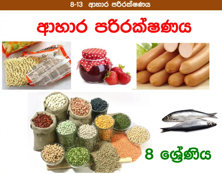 Ahara Parirakshanaya - Grade 08 Science Lesson 13 | Short Note