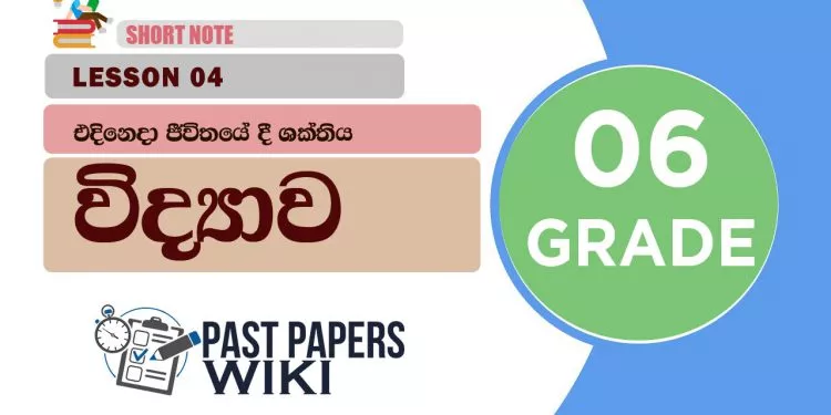 Edineda Jivithayedi Shakthiya - Grade 06 Science Lesson 04 | Short Note