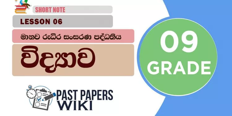 Manawa Rudira Sansarana Paddathiya - Grade 09 Science Lesson 06 | Short Note