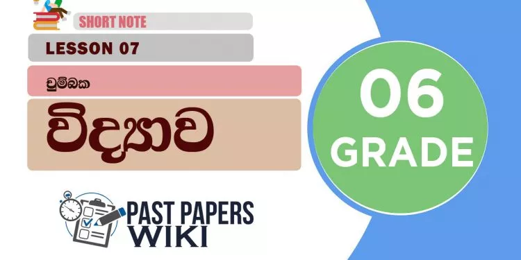 Chumbaka - Grade 06 Science Lesson 07 | Short Note