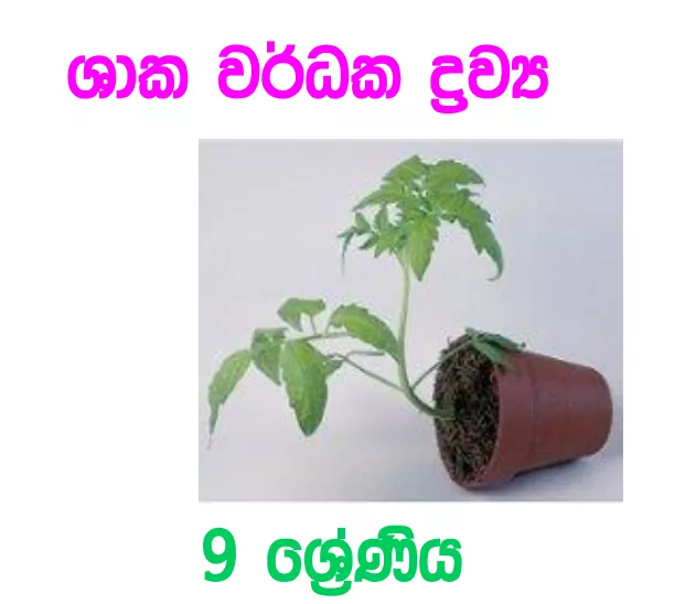 Shaka Wardaka Drawya - Grade 09 Science Lesson 07 | Short Note