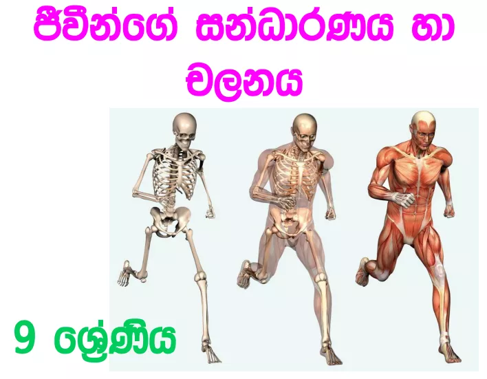 Jivinge Sandaranaya Ha Chalanaya - Grade 09 Science Lesson 08 | Short Note