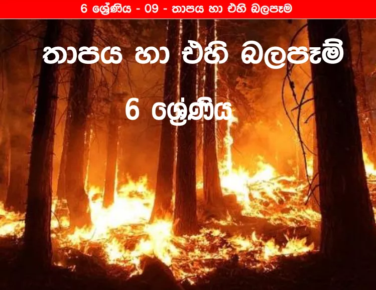 Thapaya Ha Ehi Balapem - Grade 06 Science Lesson 09 | Short Note