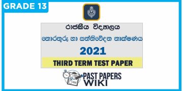 Royal College Information And Communication Technology 3rd Term Test paper 2021 - Grade 13 | English Medium