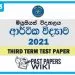 Musaeus College Economics 3rd Term Test paper 2021 - Grade 13