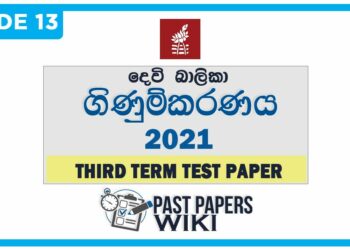 Devi Balika vidyalaya Accounting 3rd Term Test paper 2021 - Grade 13