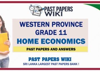 Western Province Grade 11 Home Economics Past Papers - Sinhala Medium