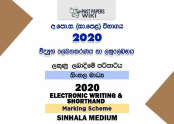 2020 O/L Electronic Writing & Shorthand Marking Scheme | Sinhala Medium