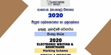 2020 O/L Electronic Writing & Shorthand Marking Scheme | Sinhala Medium