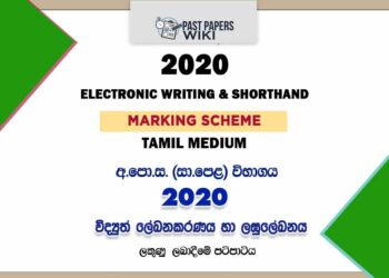 2020 O/L Electronic Writing And Shorthand Marking Scheme | Tamil Medium