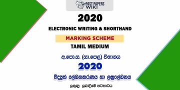 2020 O/L Electronic Writing And Shorthand Marking Scheme | Tamil Medium