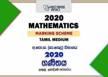 2020 O/L Mathematics Marking Scheme | Tamil Medium