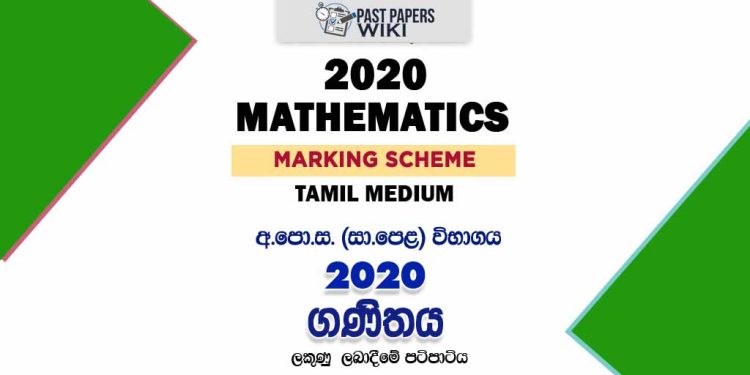 2020 O/L Mathematics Marking Scheme | Tamil Medium