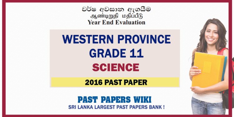 Western Province Grade 11 Science Third Term Paper 2016 – English Medium