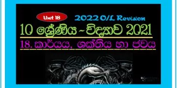 Grade 10 Science | Unit 18