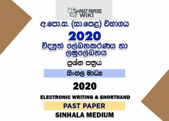 2020 O/L Electronic Writing And Shorthand Past Paper | Sinhala Medium