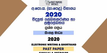 2020 O/L Electronic Writing And Shorthand Past Paper | Sinhala Medium