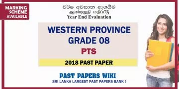 Western Province Grade 08 Practical And technical studies Third Term Past Paper 2018
