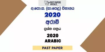 2020 OL Arabic Past Paper