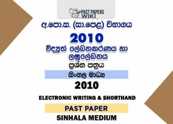 2010 O/L Electronic Writing And Shorthand Past Paper | Sinhala Medium