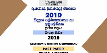 2010 O/L Electronic Writing And Shorthand Past Paper | Sinhala Medium