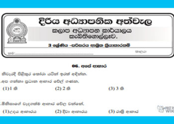 Grade 03 Environment Model Paper | No 06