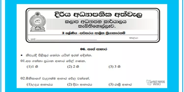 Grade 03 Environment Model Paper | No 06