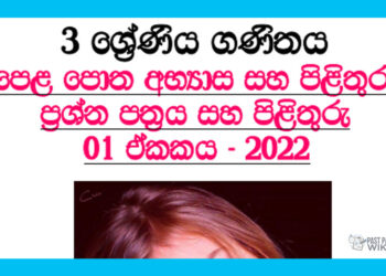 Grade 03 Mathematics Questions And Answers 2022 | Unit 01