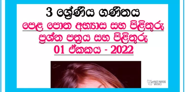 Grade 03 Mathematics Questions And Answers 2022 | Unit 01