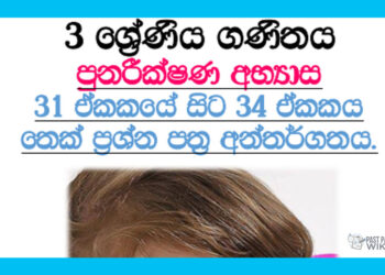 Grade 03 Mathematics Revision | Unit 31