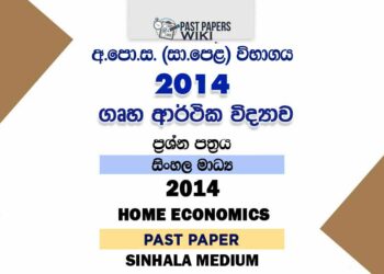 2014 O/L Home Economics Past Paper | Sinhala Medium
