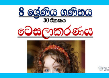 Grade 08 Mathematics | Unit 30