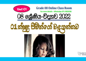 Grade 08 Science | Unit 01 - 2022