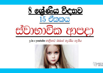 Grade 08 Science | Unit 15