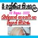 Grade 08 Sinhala | Unit 02 - 2022