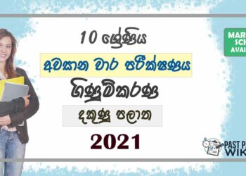 2021 Grade 10 Accounting 3rd Term Test Paper | Southern Province