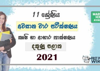 2021 Grade 11 Agriculture 3rd Term Test Paper | Southern Province