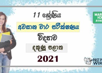 2021 Grade 11 Science 3rd Term Test Paper | Southern Province