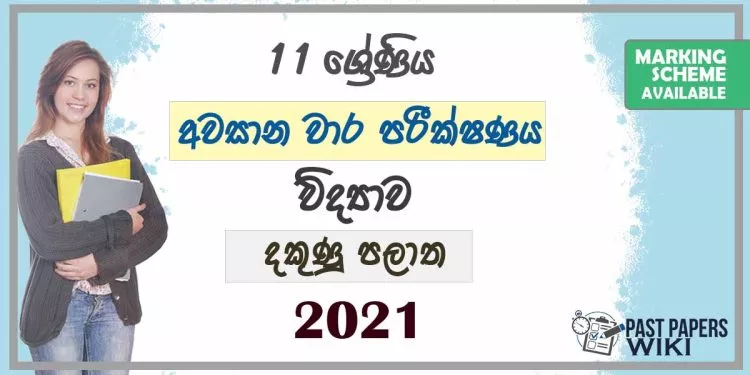 2021 Grade 11 Science 3rd Term Test Paper | Southern Province