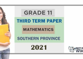2021 Grade 11 Maths 3rd Term Test Paper | Southern Province